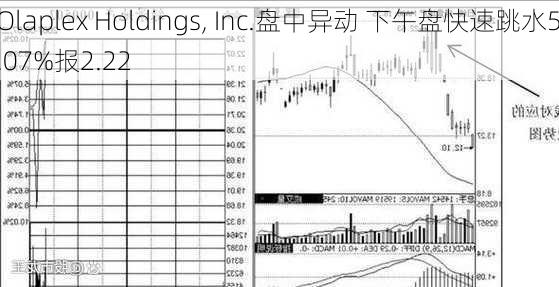 Olaplex Holdings, Inc.盘中异动 下午盘快速跳水5.07%报2.22
